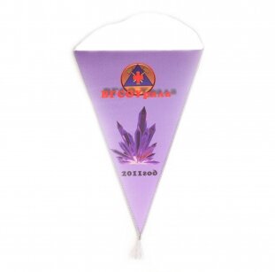 Заказать Вымпел тканевый односторонний в Екатеринбурге