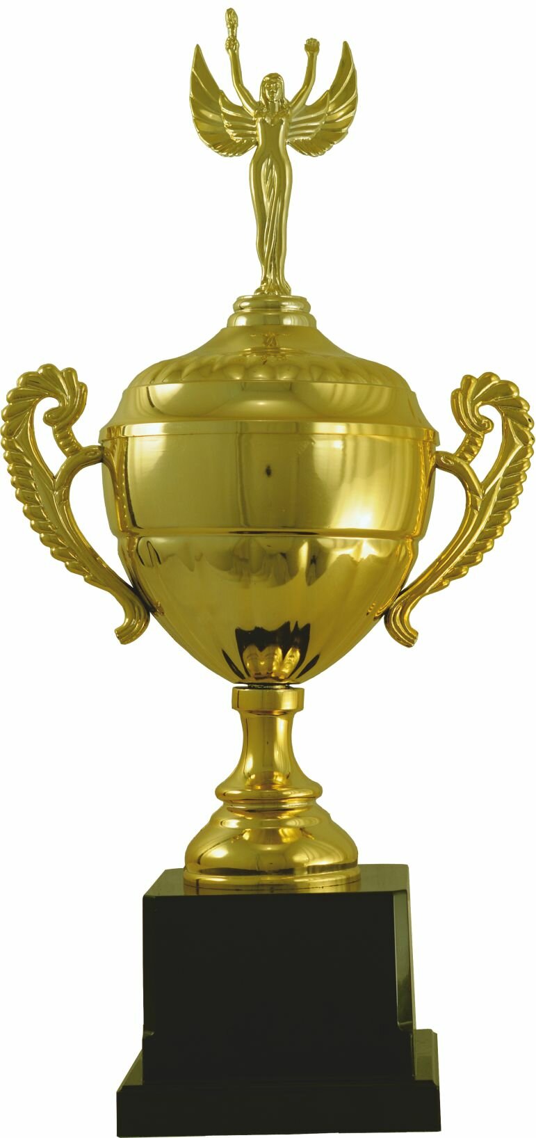 Заказать P701 А, 31,5см. Цена: 1300 руб. в Екатеринбурге