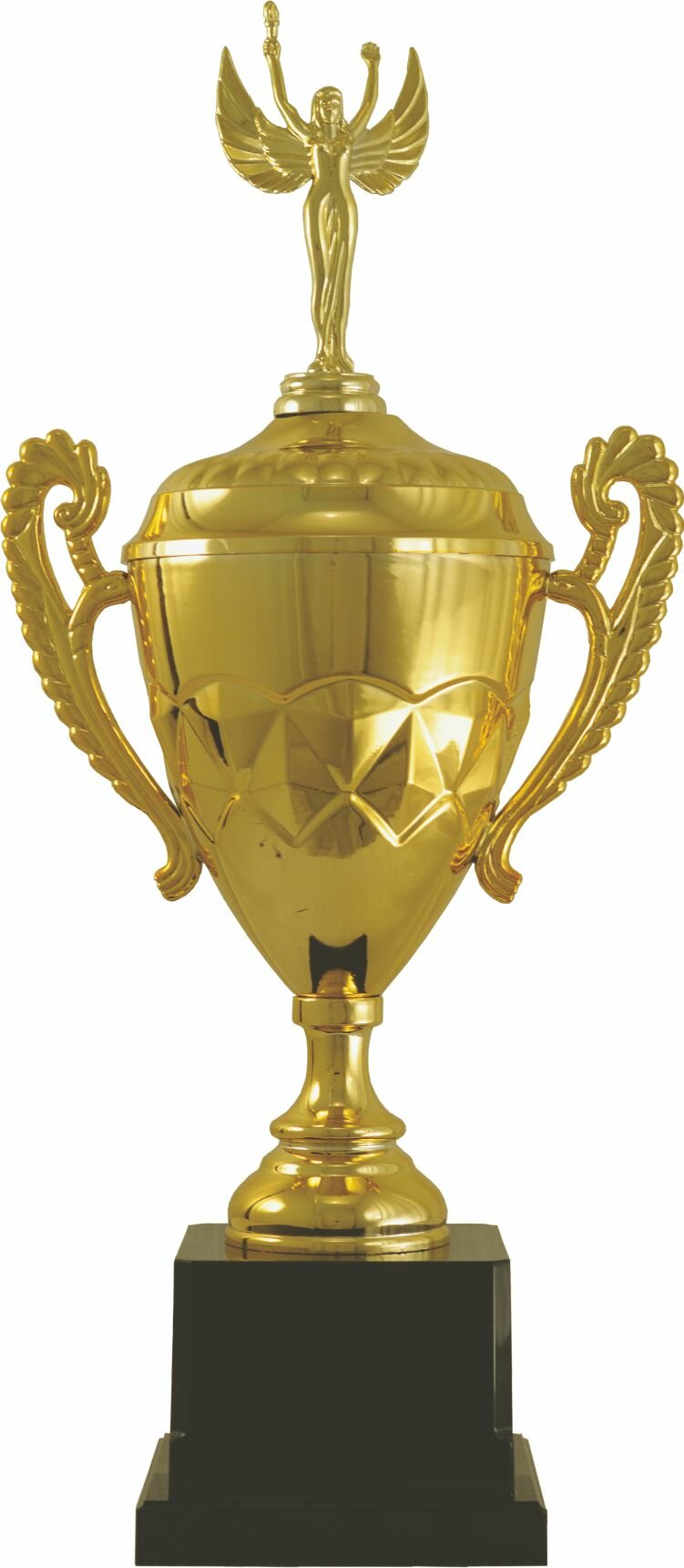 Заказать P801 В, 31,5см. Цена: 1 150 руб. в Екатеринбурге