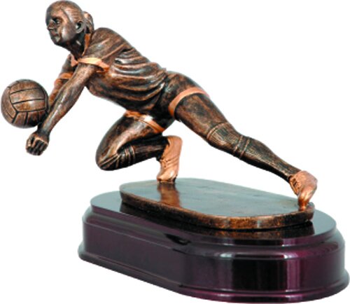 Заказать Волейбол (Волейбол) в Екатеринбурге