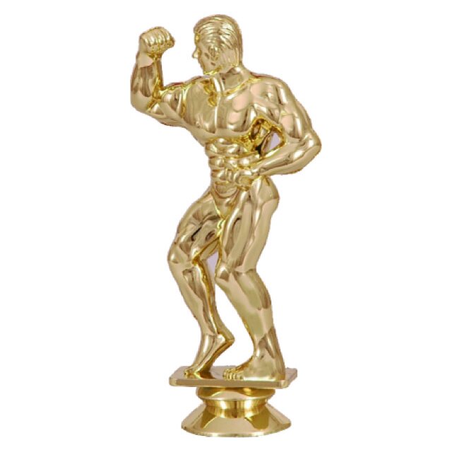 Заказать Статуэтка сувенирная пластиковая F43G, бодибилдинг в Екатеринбурге