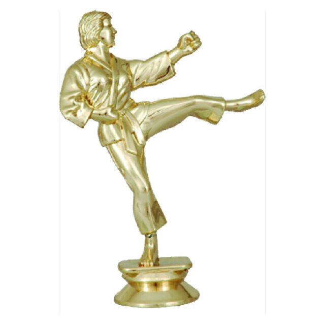 Заказать Статуэтка сувенирная пластиковая F99G, карате женское в Екатеринбурге