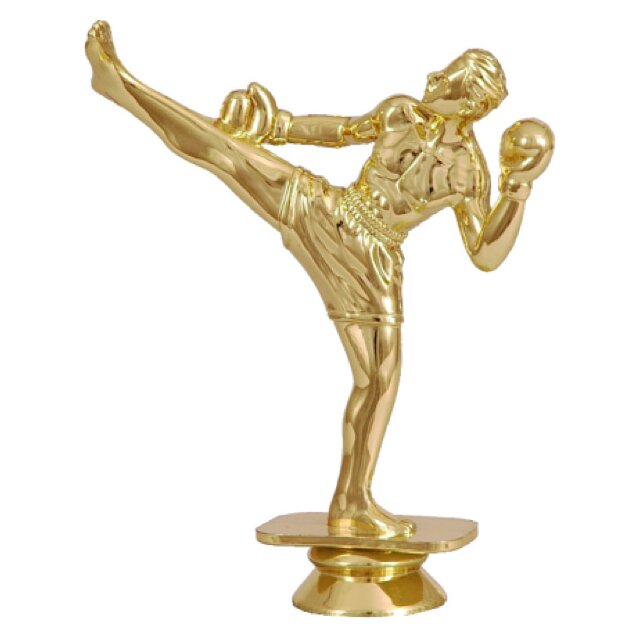 Заказать Статуэтка сувенирная пластиковая F155G, кикбоксинг в Екатеринбурге